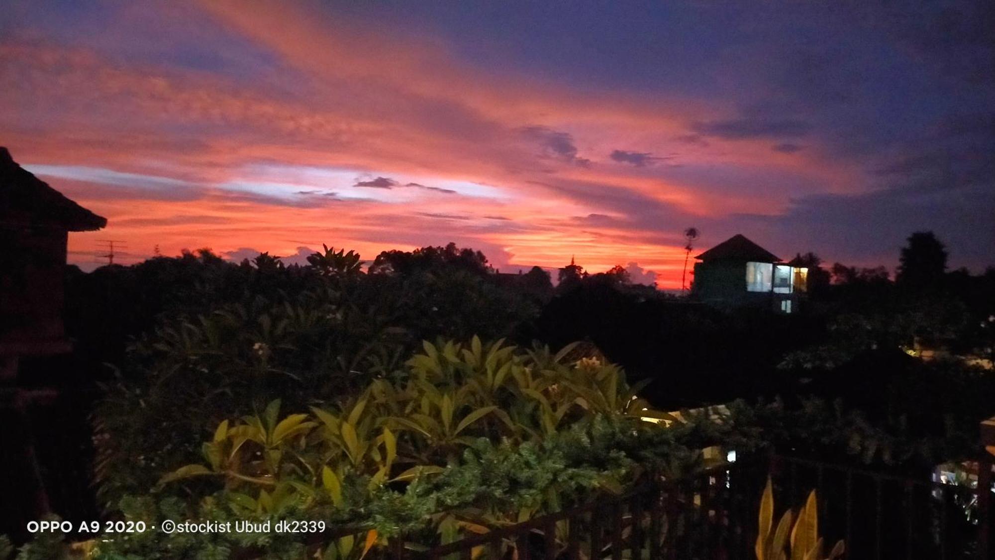 Danu House Ubud Exteriör bild
