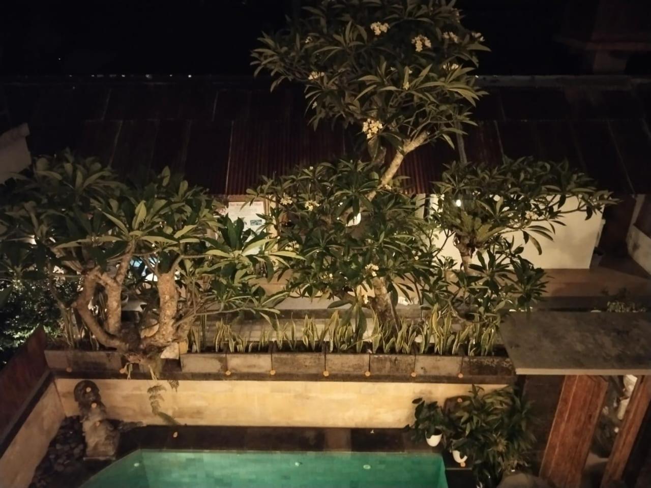 Danu House Ubud Rum bild